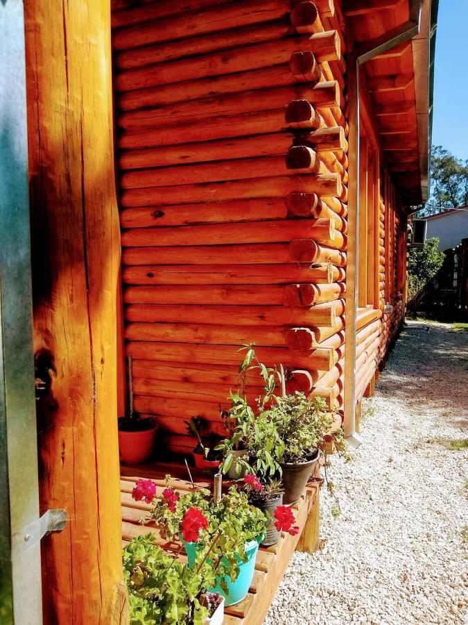 Chalet La Casa Del Arbol